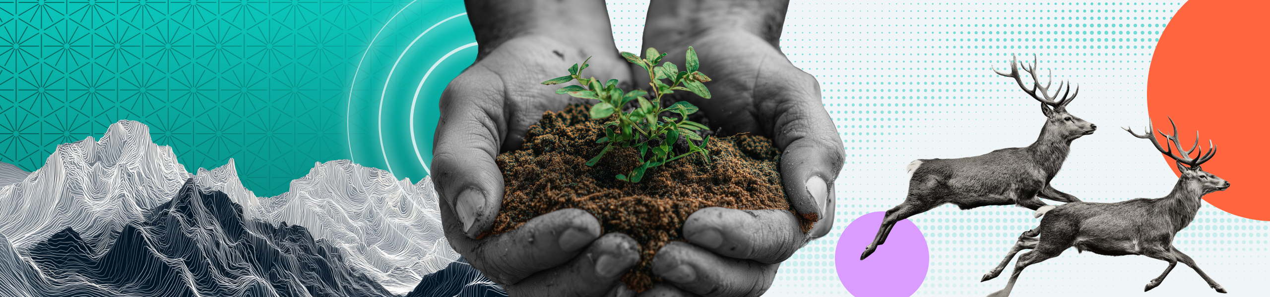 Egnyte CSR | Volunteering in India