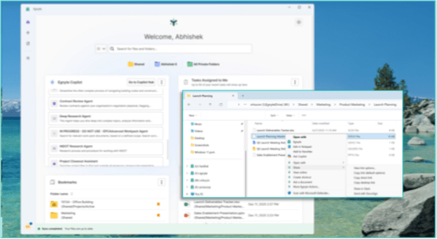 Egnyte | Desktop App