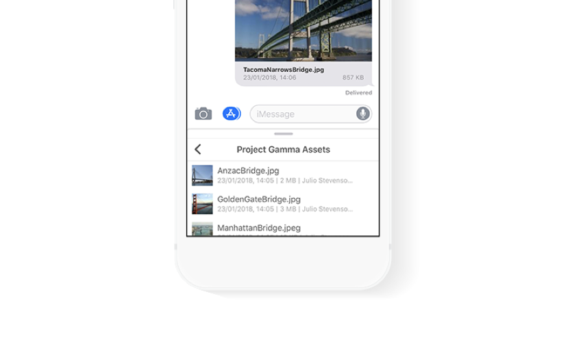 Messenger Integration