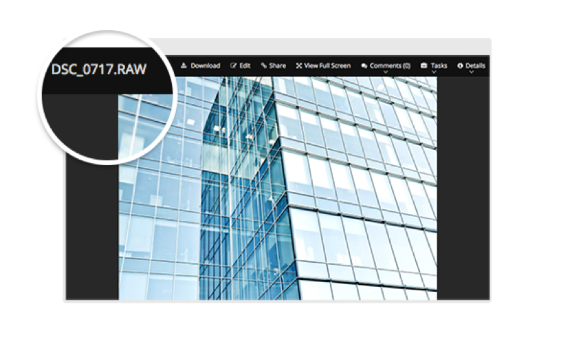 RAW Image Preview